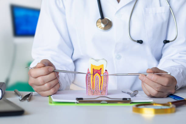 Best Urgent Tooth Repair  in Crooksville, OH